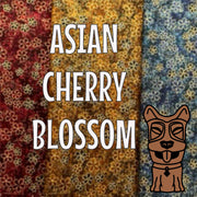 Asian Cherry Blossom