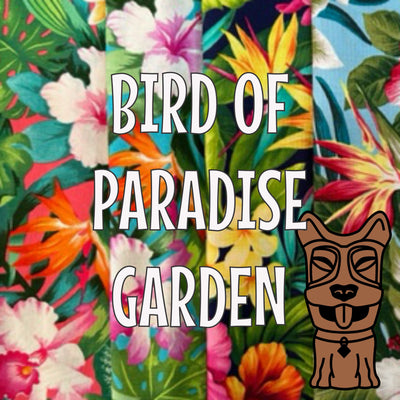 Bird of Paradise Garden