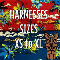 Old Hawaii Harness